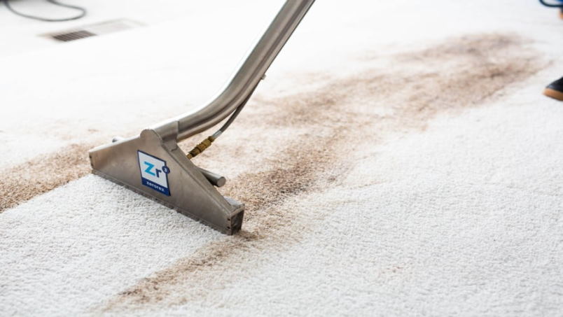 7 Simple Ways To Hide Carpet Stains Until The Pro Carpet Cleaners Attend